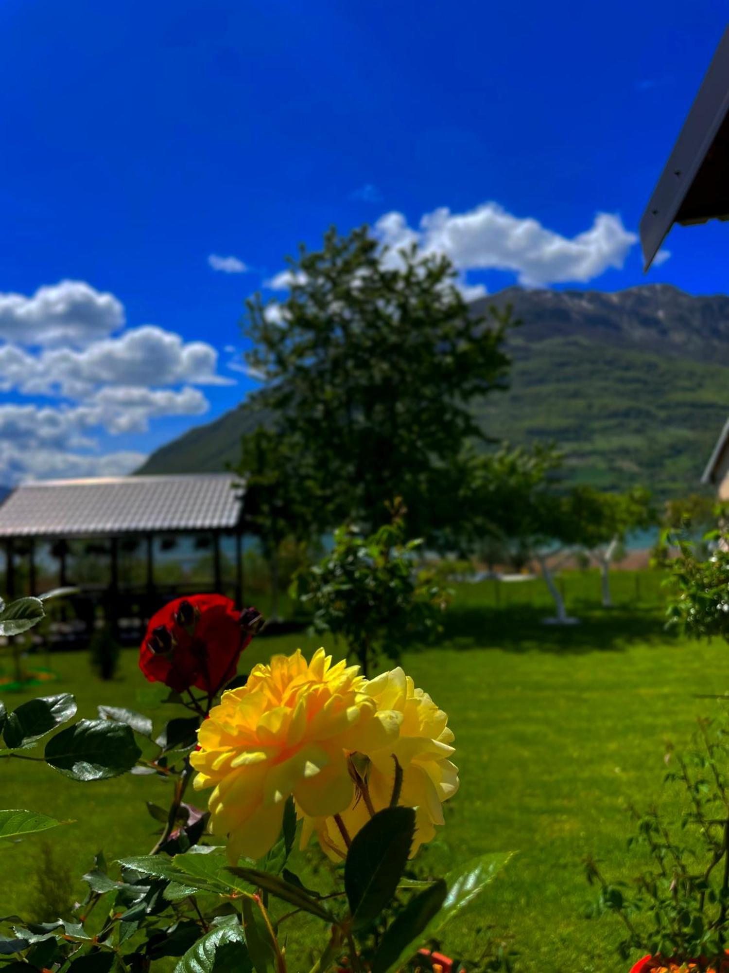 Rooms P&L Плав Экстерьер фото